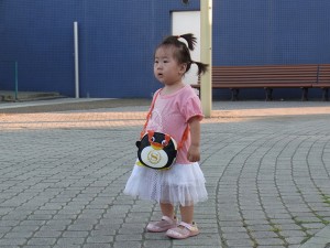 我家小肥牛