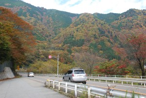 高山1