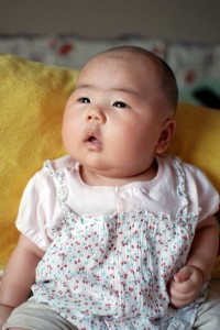 DSC_4019-1