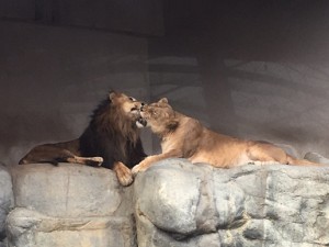 IMG_2902
