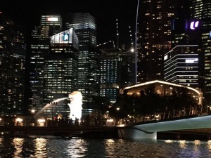 IMG_7744